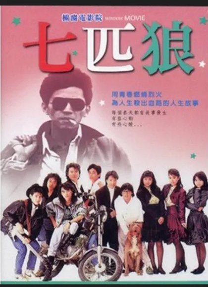 七匹狼