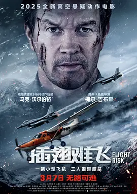 插翅难飞 Flight Risk (2025)