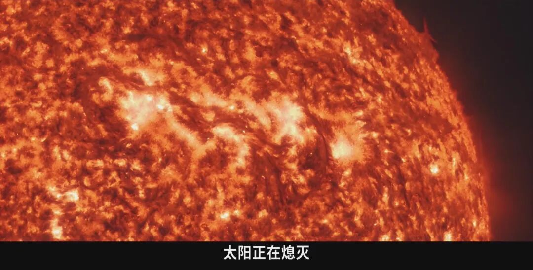 年度最佳！超越《火星救援》！这才是大片天花板，太好看了！