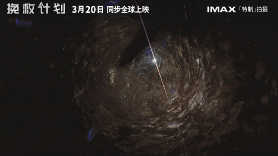年度最佳！超越《火星救援》！这才是大片天花板，太好看了！