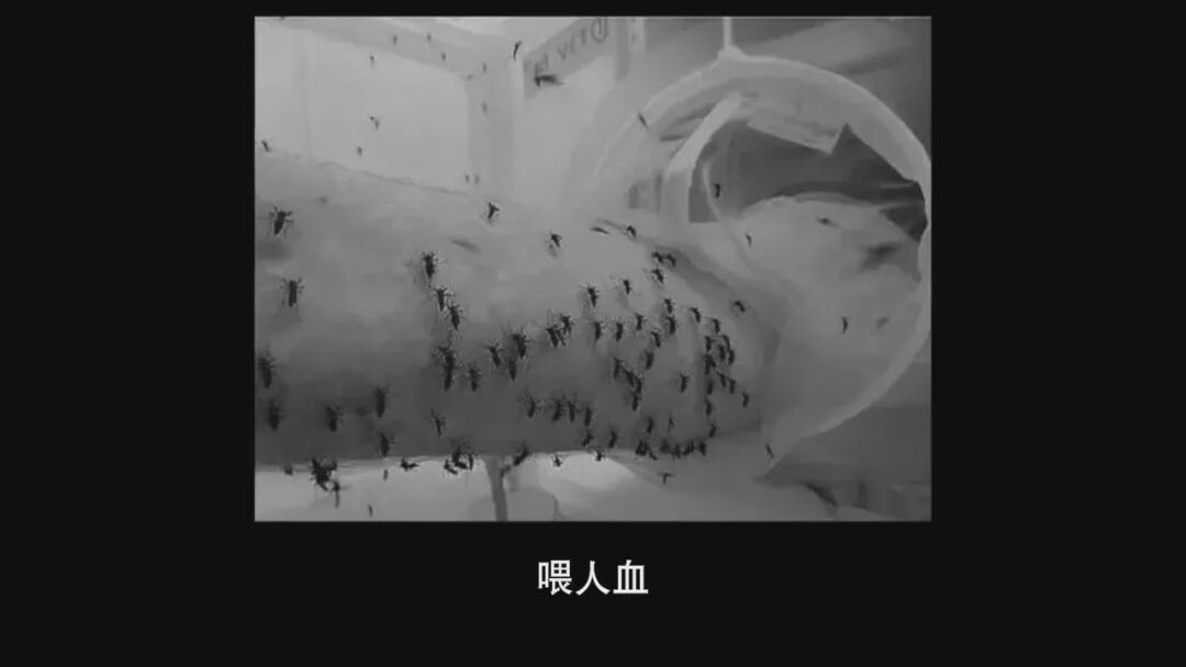 9.4分，一路封神！网友：这片子还在拍，真的功德无量！