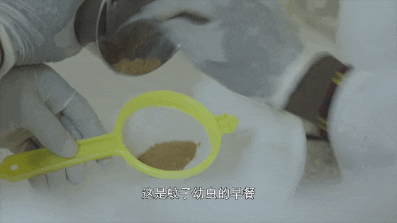 9.4分，一路封神！网友：这片子还在拍，真的功德无量！