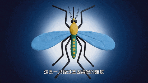 9.4分，一路封神！网友：这片子还在拍，真的功德无量！