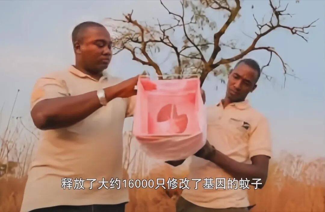 9.4分，一路封神！网友：这片子还在拍，真的功德无量！
