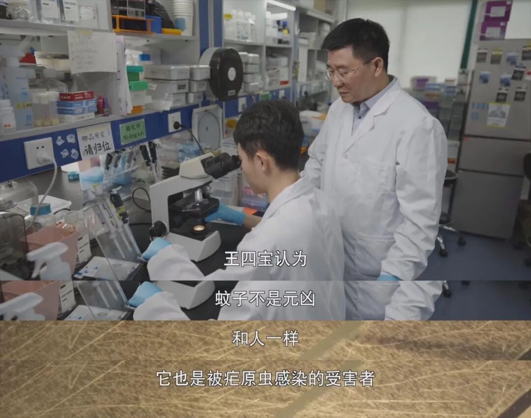 9.4分，一路封神！网友：这片子还在拍，真的功德无量！