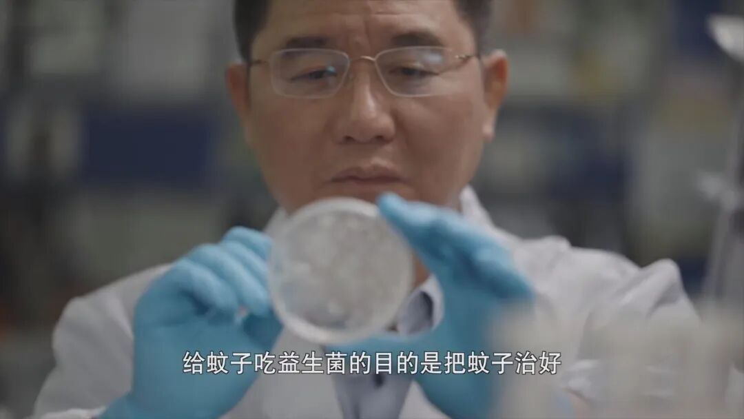 9.4分，一路封神！网友：这片子还在拍，真的功德无量！