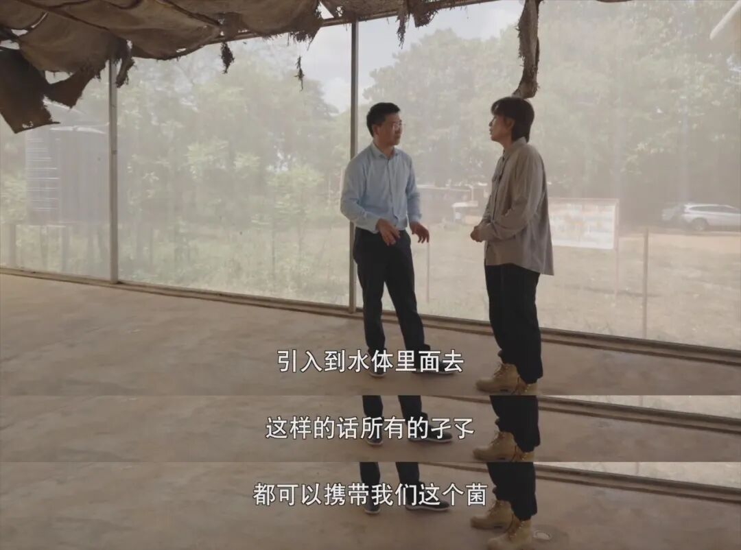 9.4分，一路封神！网友：这片子还在拍，真的功德无量！