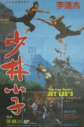 少林小子 (1984)